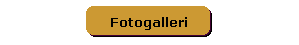 Fotogalleri