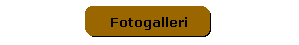 Fotogalleri