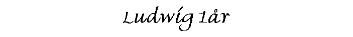 Ludwig 1r